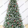 Bayberry Spruce Christmas Tree