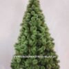 Cardiff Pine Christmas Tree