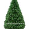 Glasgow Green Christmas Tree
